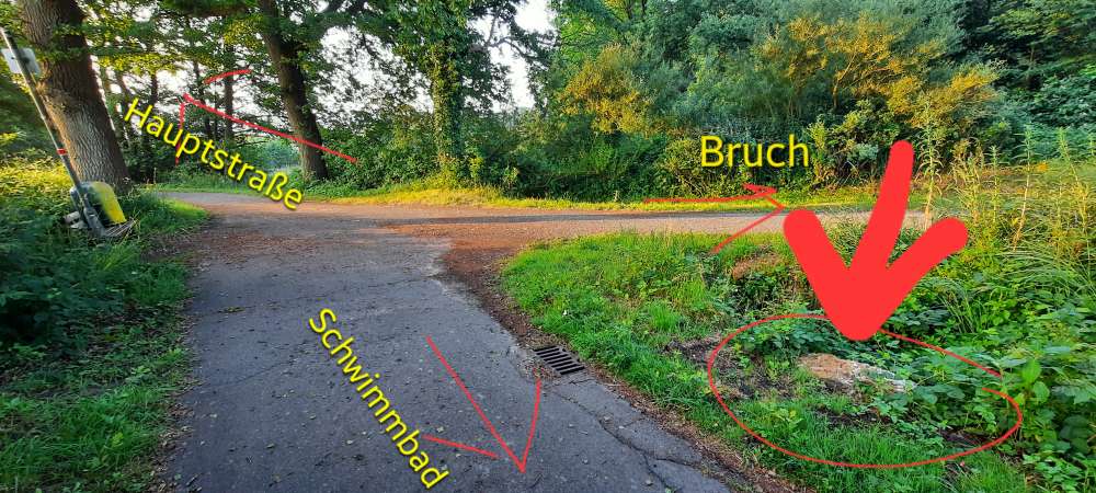 Giftköder-Undefinierbare, stinkende Masse-Profilbild