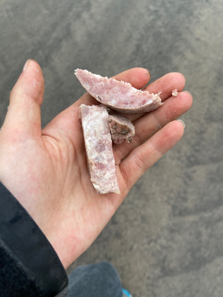 Giftköder-Giftköder-Profilbild