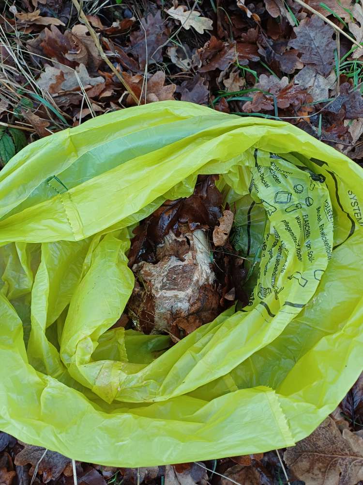 Giftköder-Großes Stück rohes Fleisch .-Profilbild