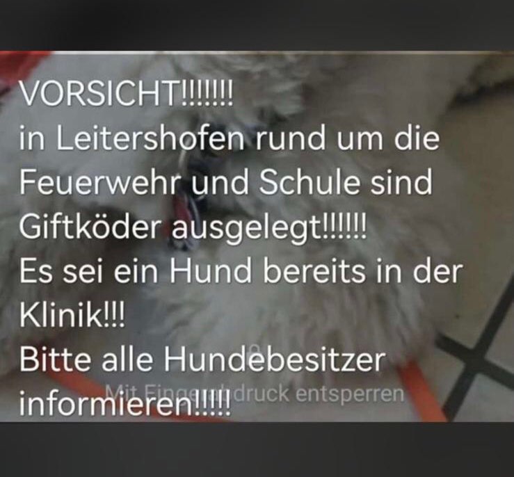 Giftköder-Vorsicht Giftköder-Profilbild