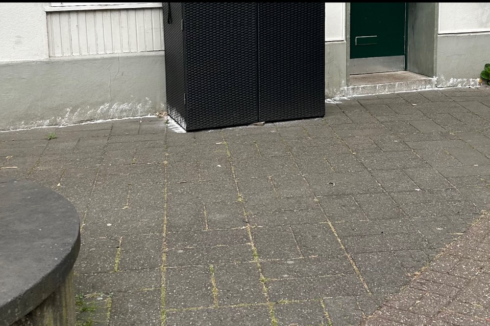 Giftköder-Weißes Pulver entlang der Hauswand-Profilbild