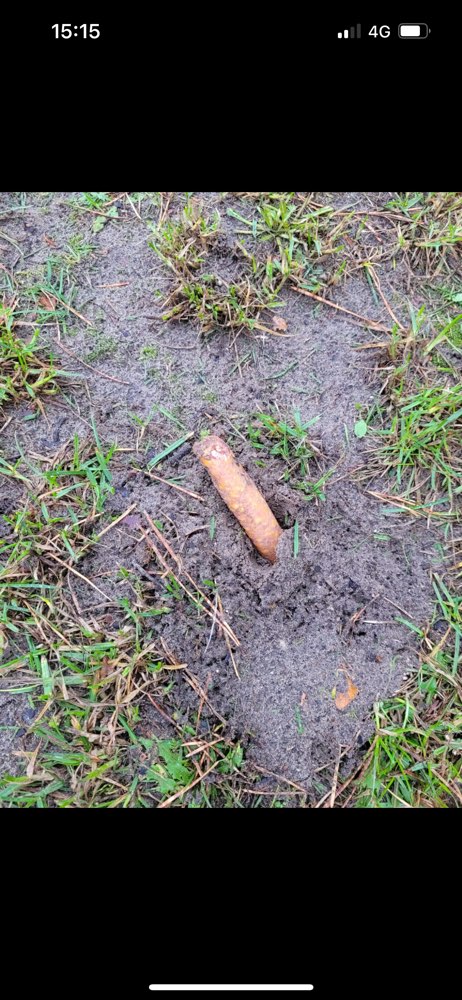 Giftköder-Giftköder Würstchen-Profilbild