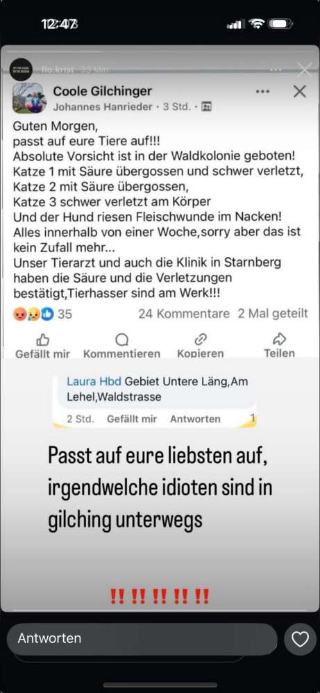 Giftköder-Aufpassen! Tierhasser in Gilching!!!-Profilbild