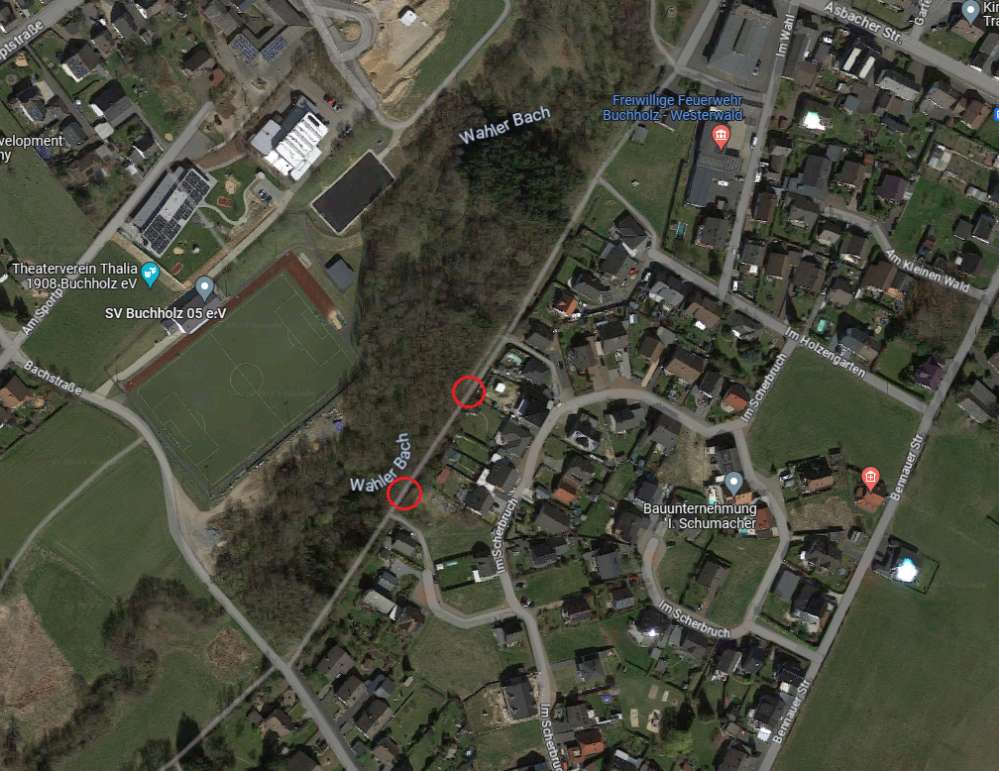 Giftköder-Fleischköder in Buchholz/Wahl-Profilbild