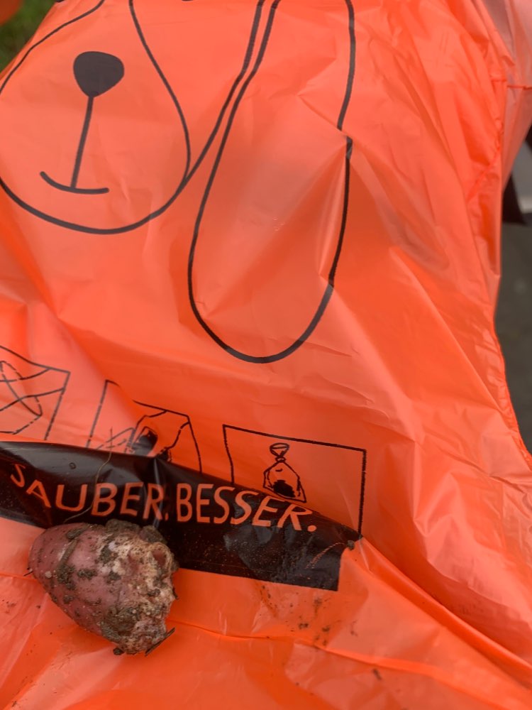 Giftköder-Hühnerherzen im Gras-Profilbild