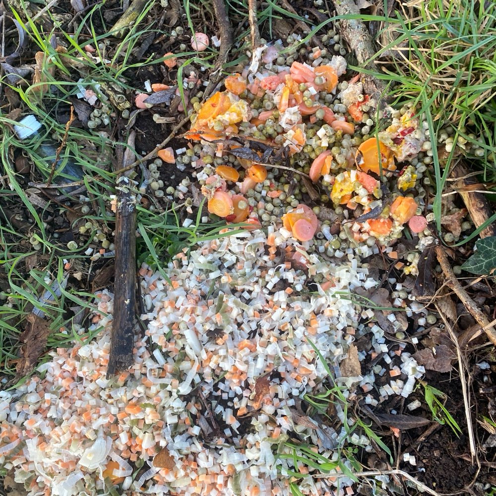 Giftköder-Ausgelegtes TK-Gemüse-Profilbild