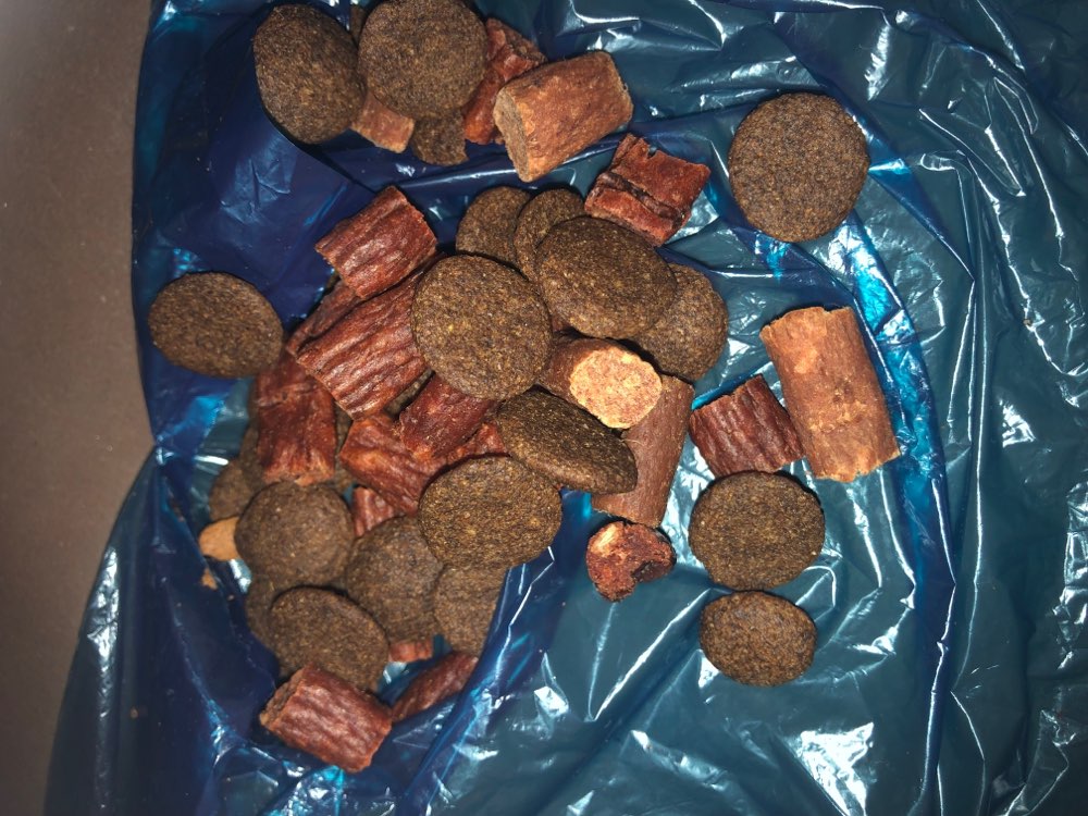 Giftköder-evtl. Giftköder-Profilbild