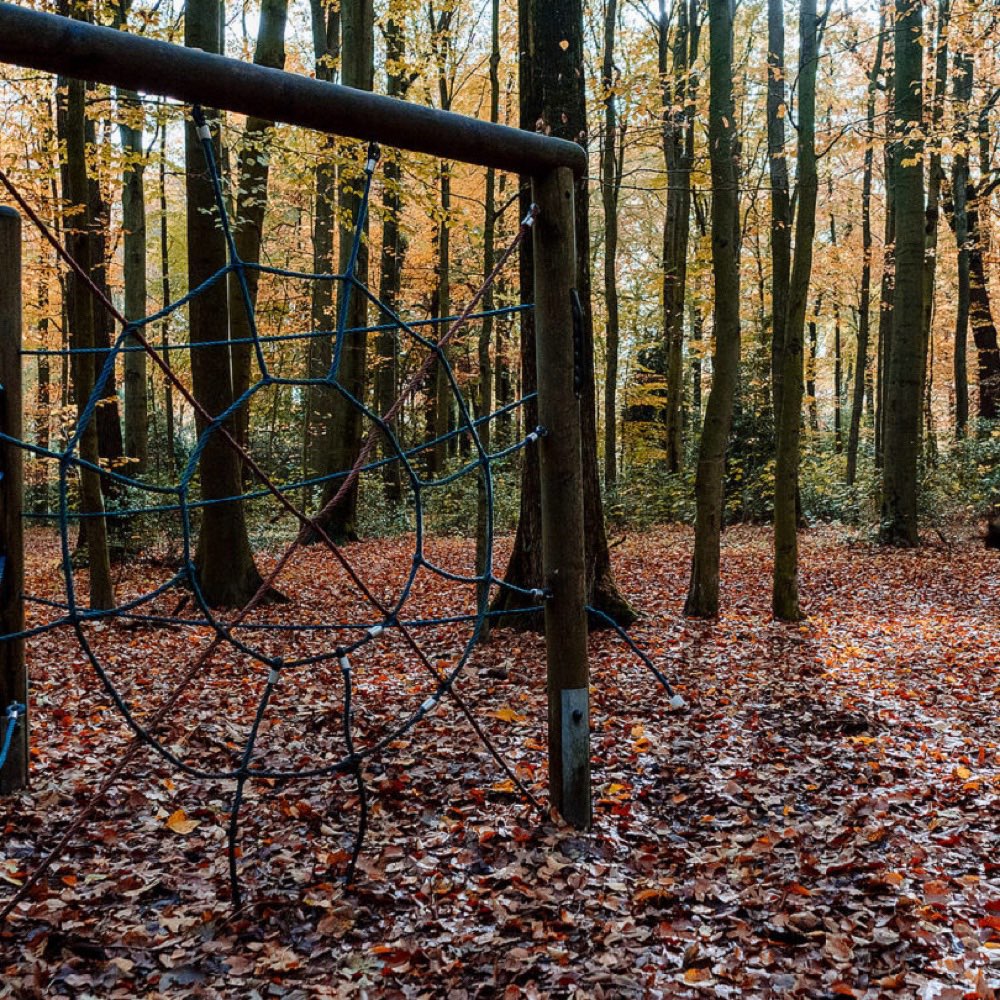 Hundetreffen-Schwerter Wald - Walk Your Dog-Profilbild