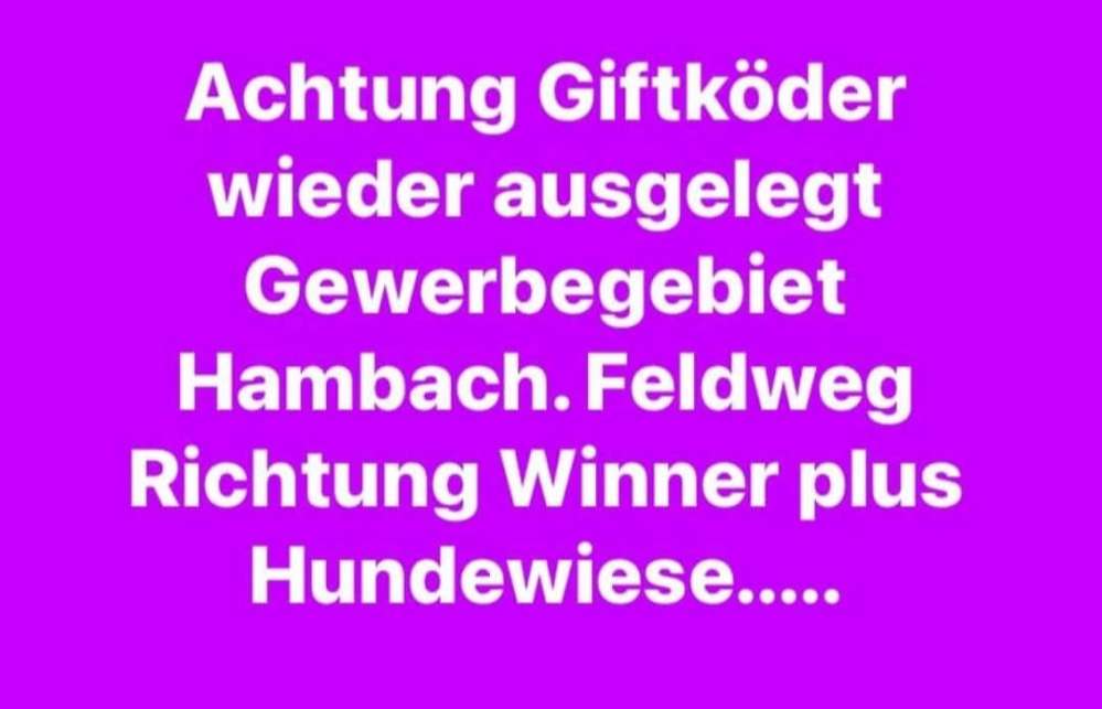 Giftköder-Giftköder-Profilbild