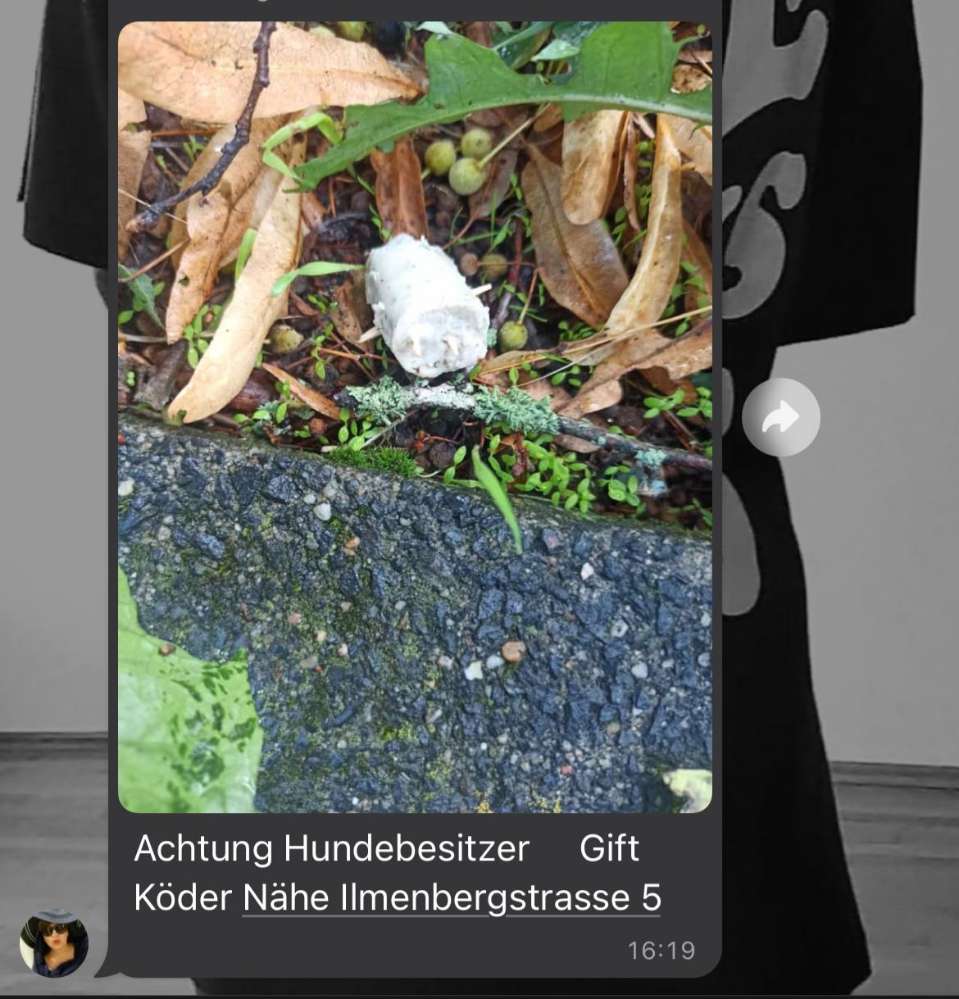 Giftköder-Giftköder-Profilbild