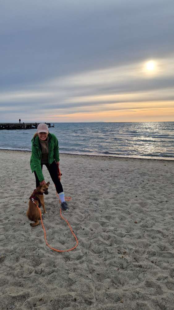 Hundetreffen-Gassipartner für Nola-Profilbild