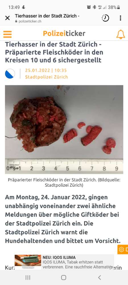 Giftköder-Giftköder/Fleischstücke-Profilbild