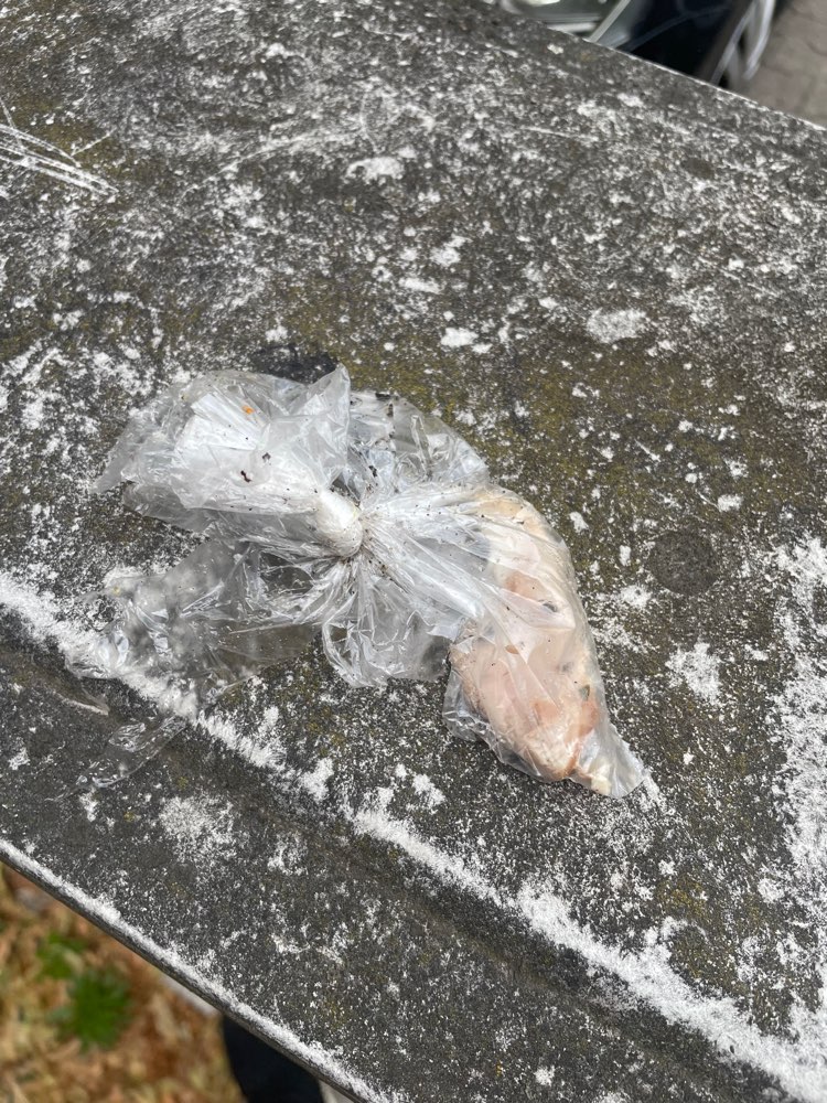 Giftköder-Frühstücksbeutel mit Knochen-Profilbild