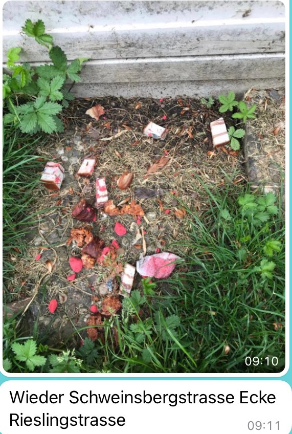 Giftköder-Möglicher Giftköder-Profilbild