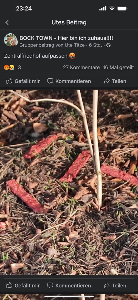 Giftköder-Giftköder-Profilbild