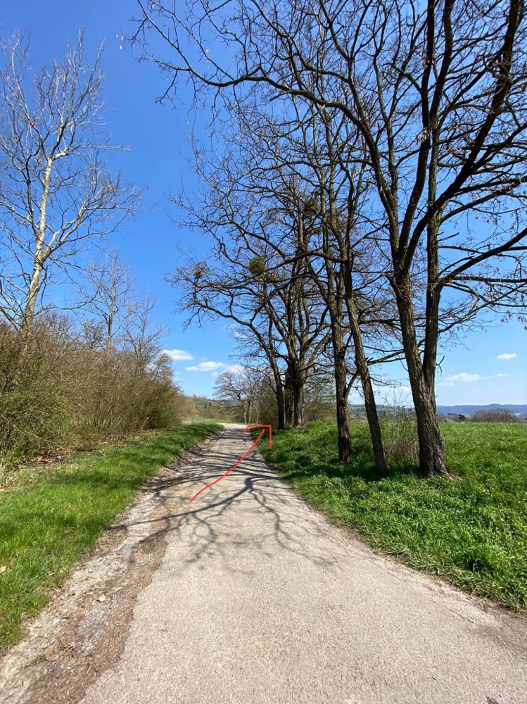 Giftköder-Giftköder-Profilbild