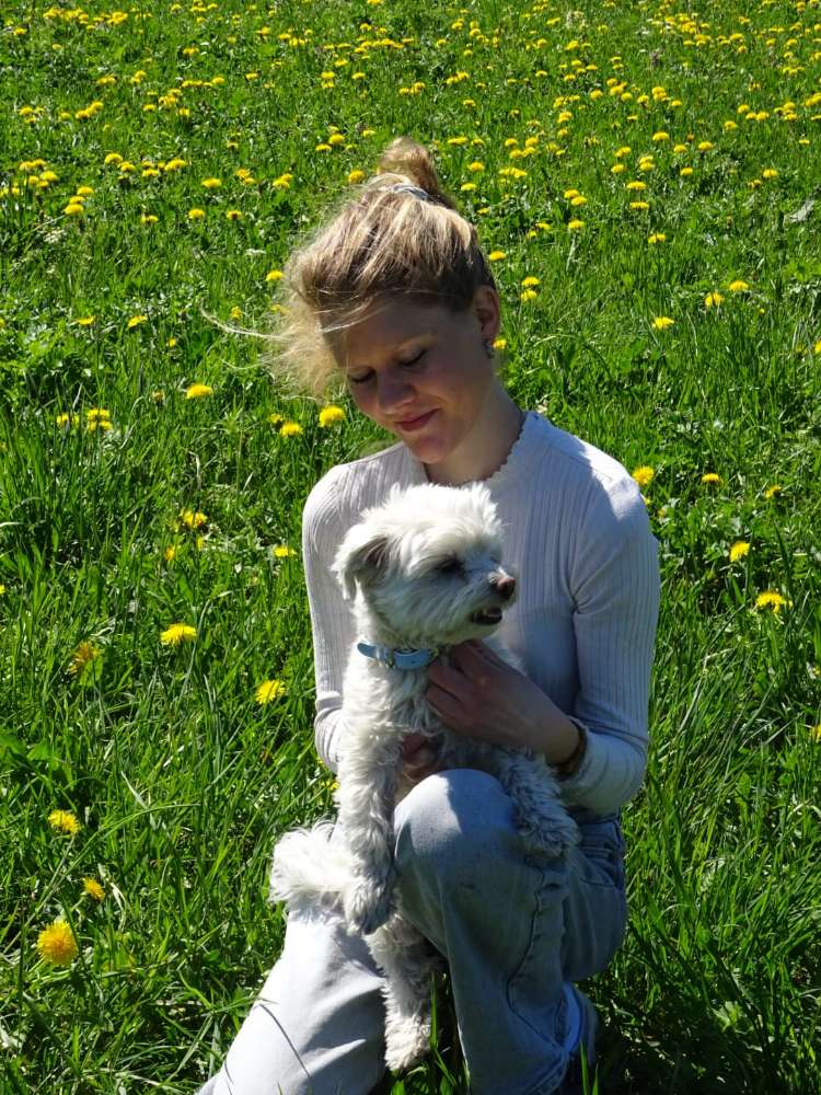 Hundetreffen-Suche Gassigehpartner :)-Profilbild