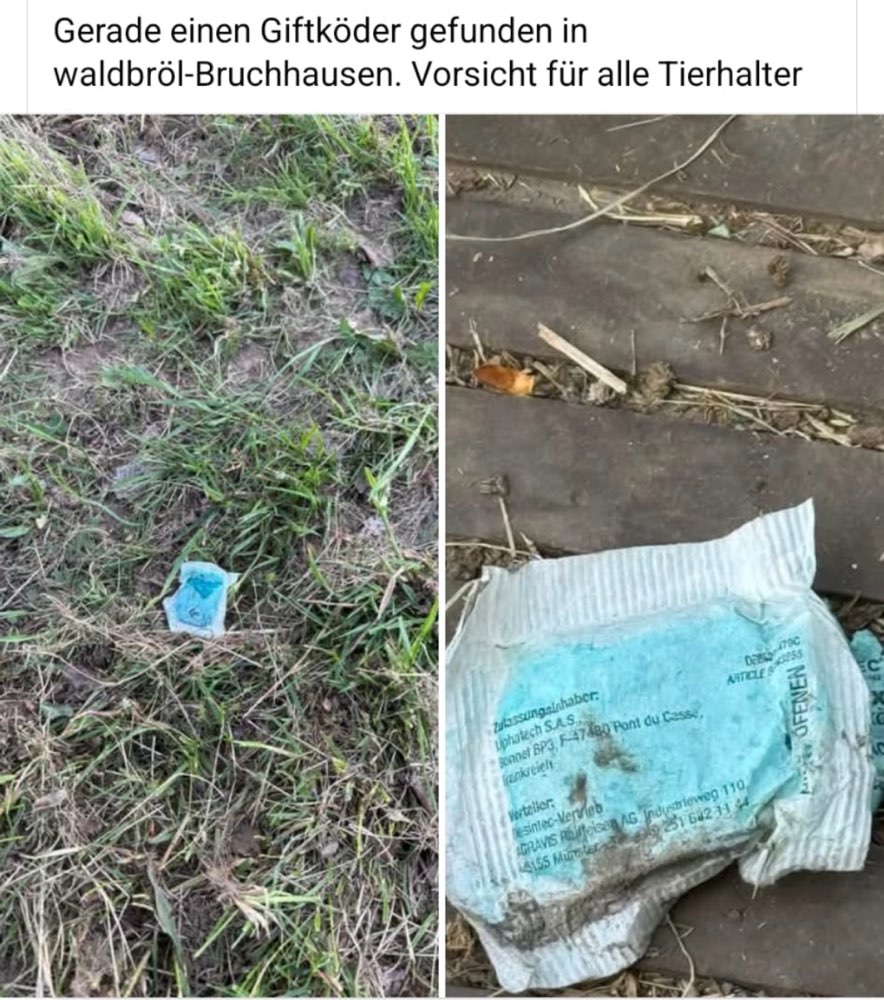Giftköder-Giftköder/ Rattengift-Profilbild