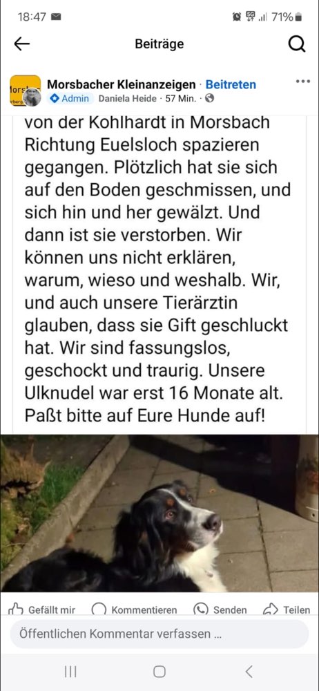 Giftköder-Verdacht auf Giftköder-Profilbild