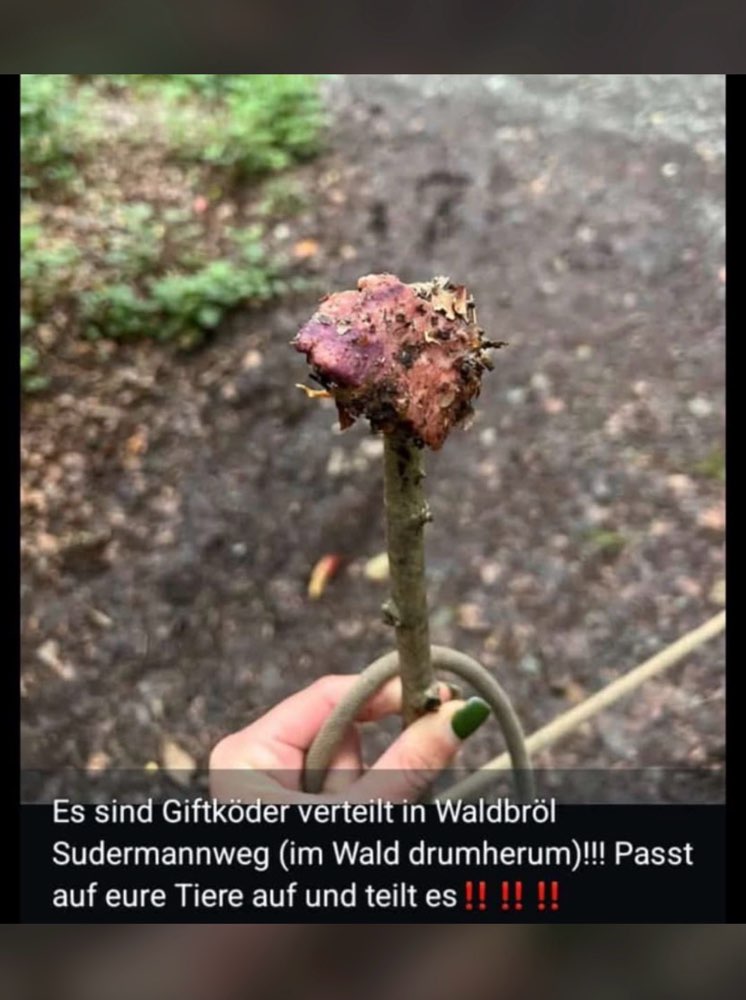 Giftköder-Giftköder-Profilbild