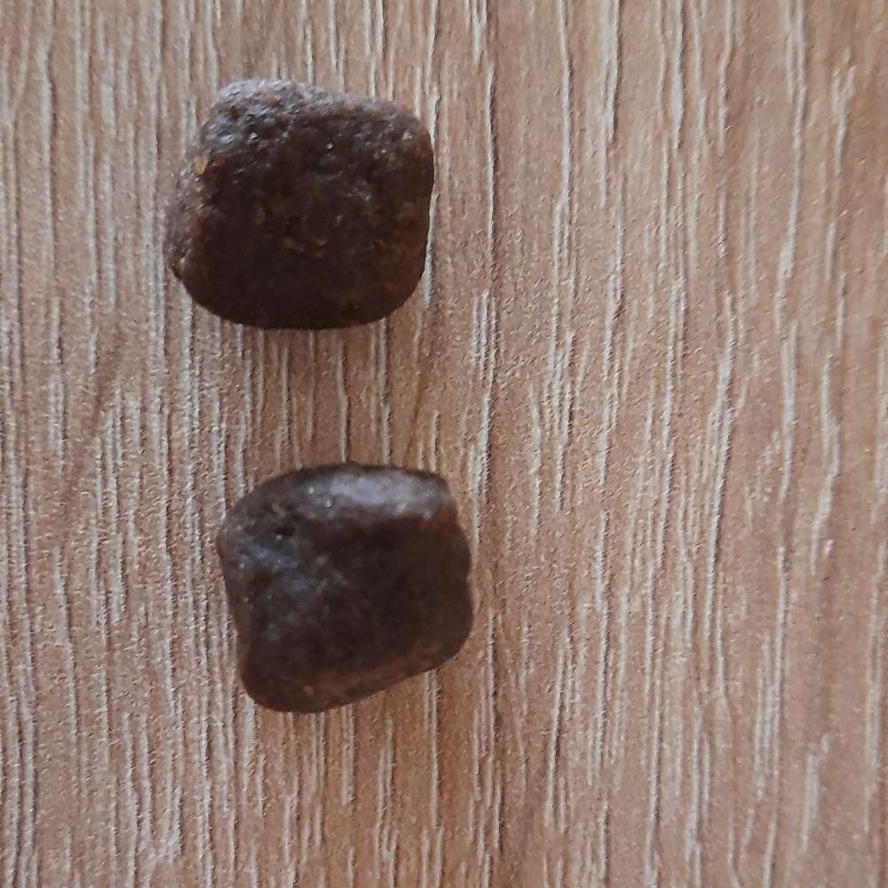 Giftköder-Unmengen von Trockenfutter ausgelegt-Profilbild