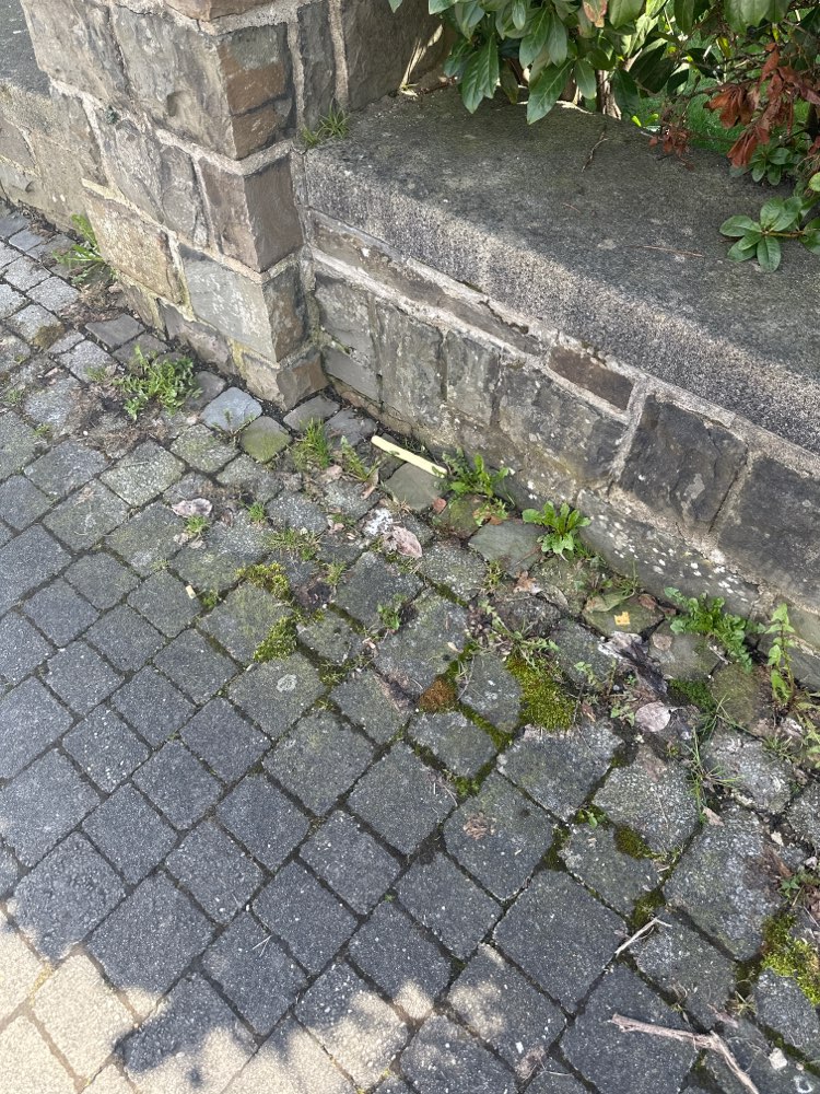 Giftköder-Vermutlich Giftköder Innenstadt-Profilbild