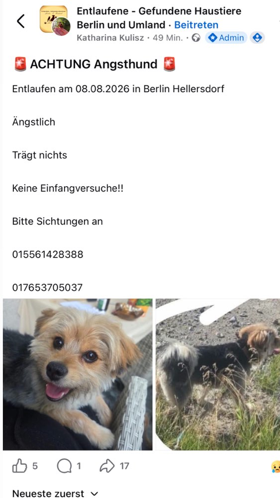 Suchmeldung-Fips-Profilbild
