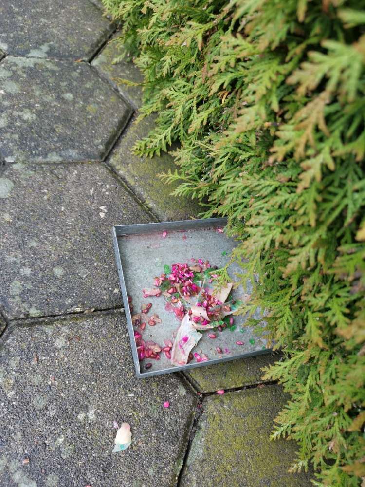 Giftköder-Giftköder-Profilbild