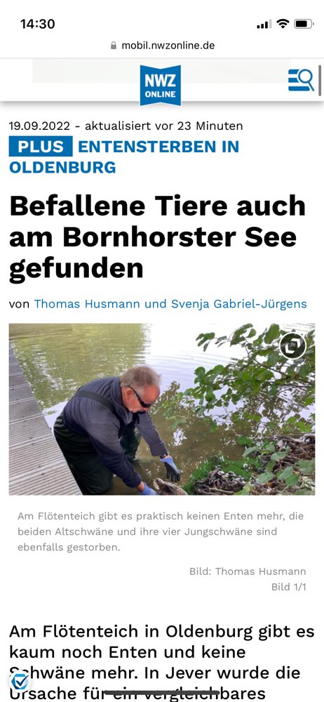 Giftköder-Bakterium auch im Bornhorster See?-Profilbild