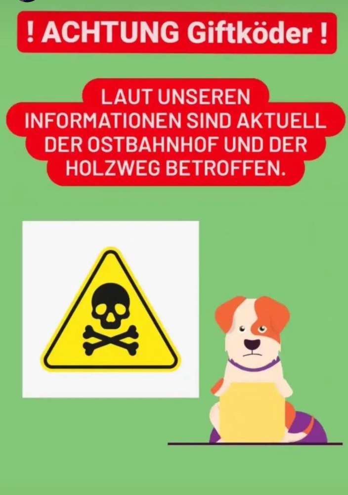 Giftköder-Giftköder-Profilbild