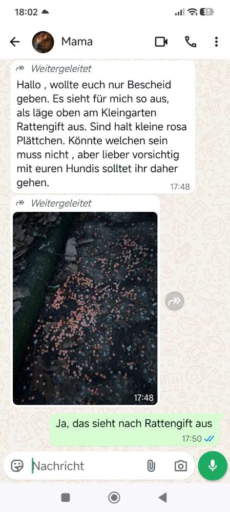 Giftköder-Rattengift Gartensiedlung Wasserturm / Germanenstr.-Profilbild