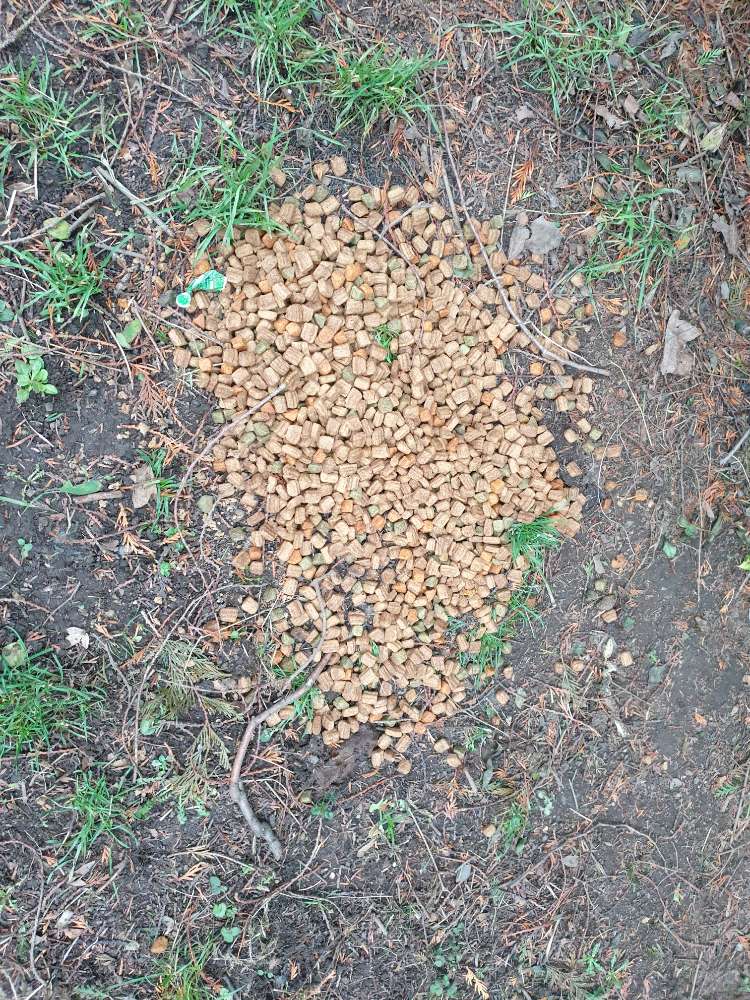 Giftköder-Ausgeschüttetes Trockenfutter-Profilbild