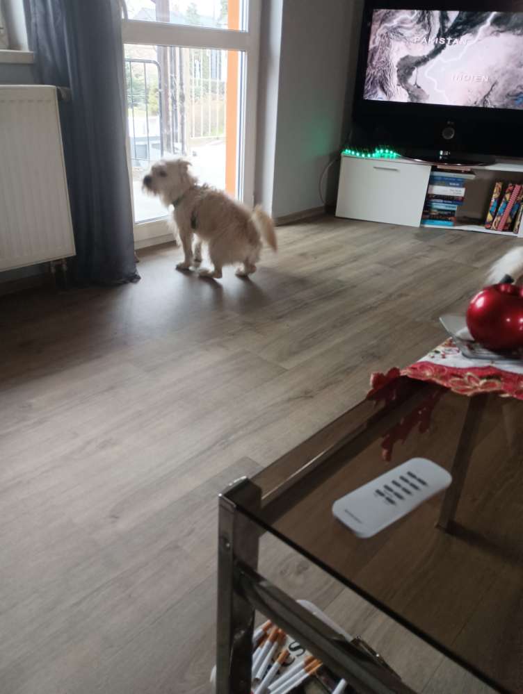 Giftköder-Giftköder auf der Wiese vor Wackerbarth-Profilbild