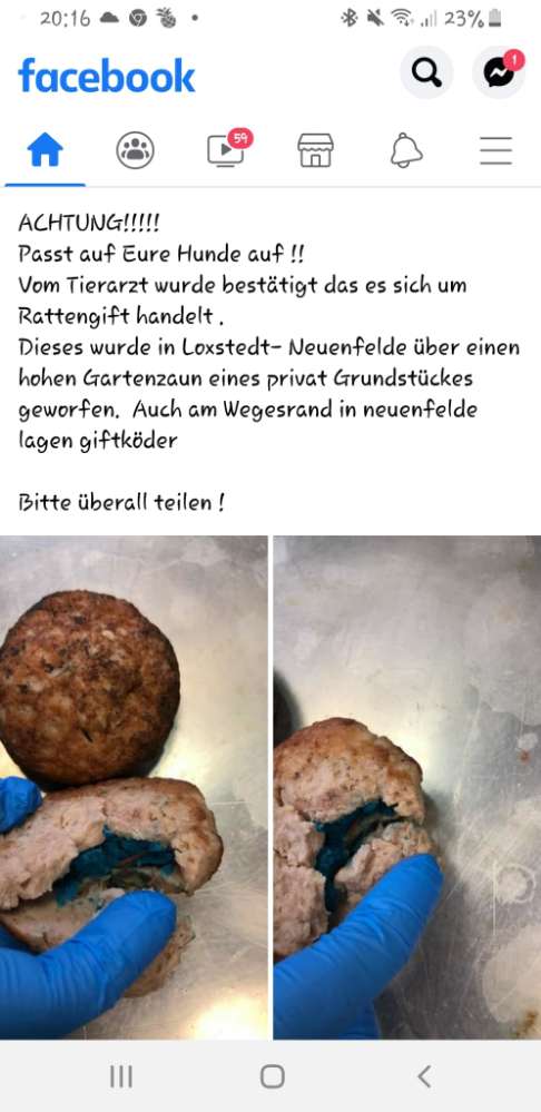 Giftköder-Giftköder-Profilbild