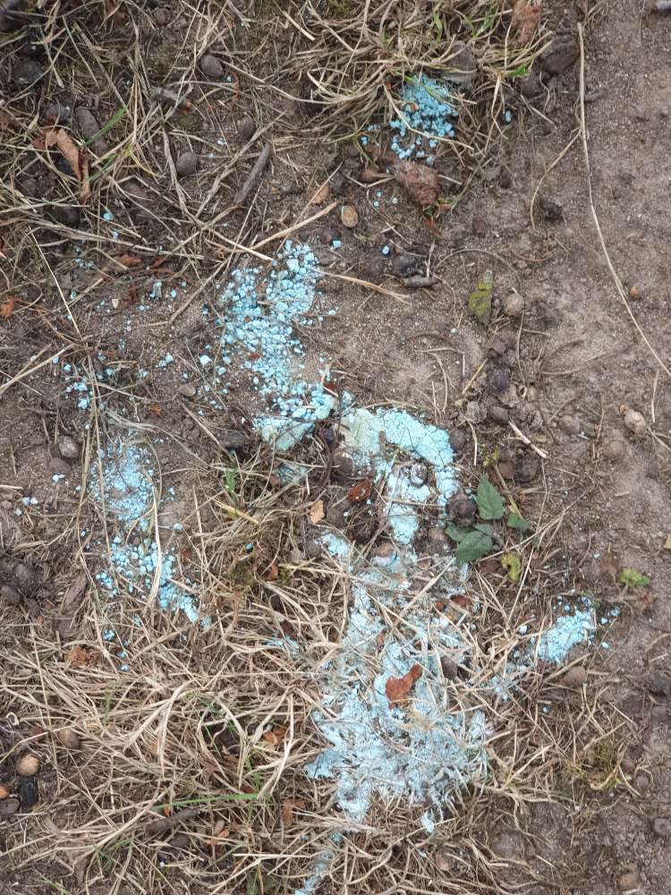 Giftköder-Mögliche Giftköder-Profilbild