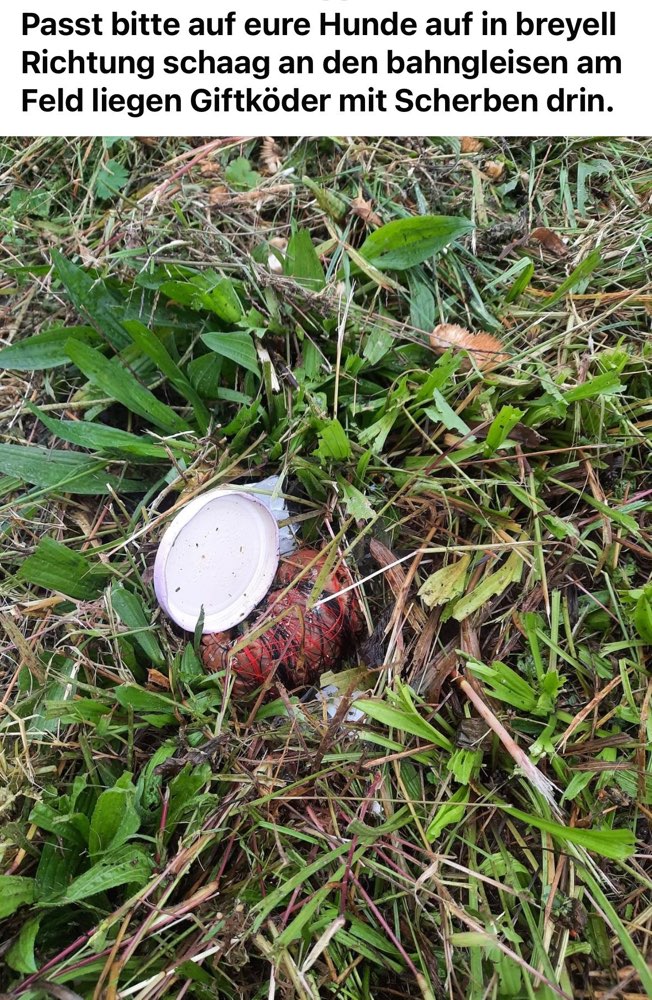 Giftköder-Giftköder mit Scherben-Profilbild