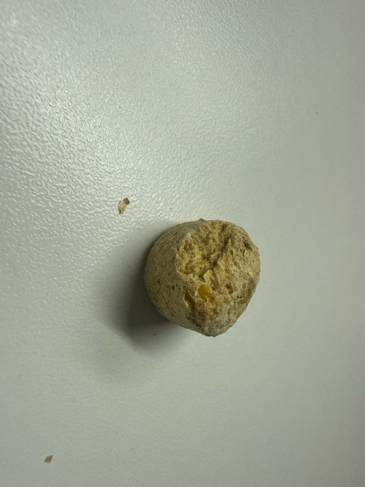 Giftköder-Verdächtige Pellets am Wegesrand im Efeu-Profilbild