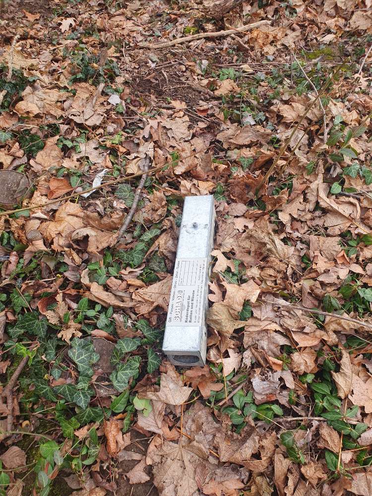 Giftköder-Vorsicht Mäuse/ Rattenfallen-Profilbild
