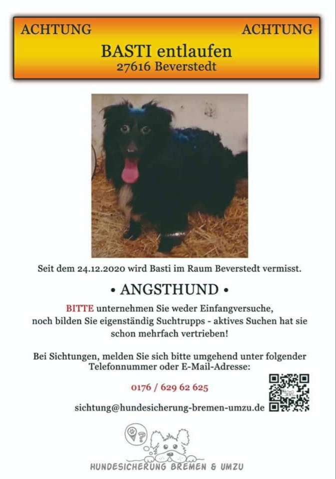 Suchmeldung-Basti-Profilbild