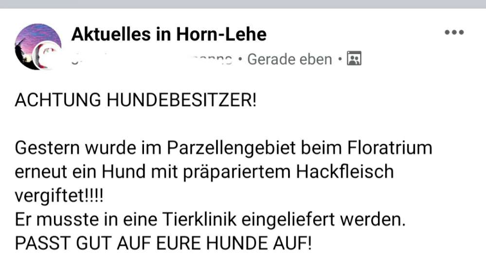 Giftköder-Giftköder-Profilbild