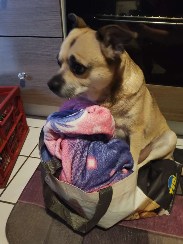 Ungewöhnliche schlafplätze Banner