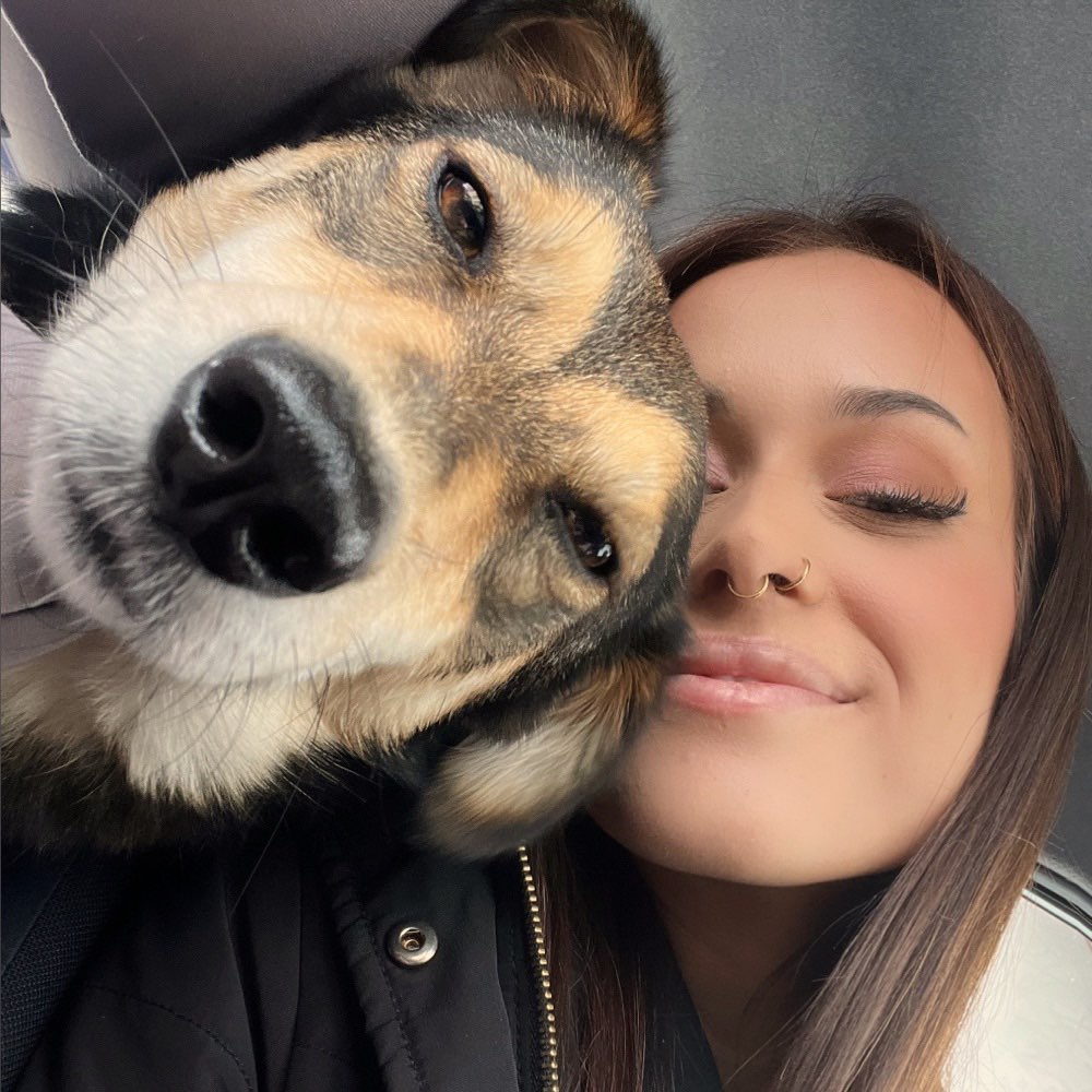 Hundetreffen-Gassirunde, kennenlernen-Profilbild