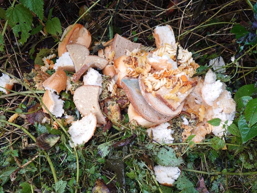 Giftköder-Wieder ausgelegtes Essen..-Profilbild