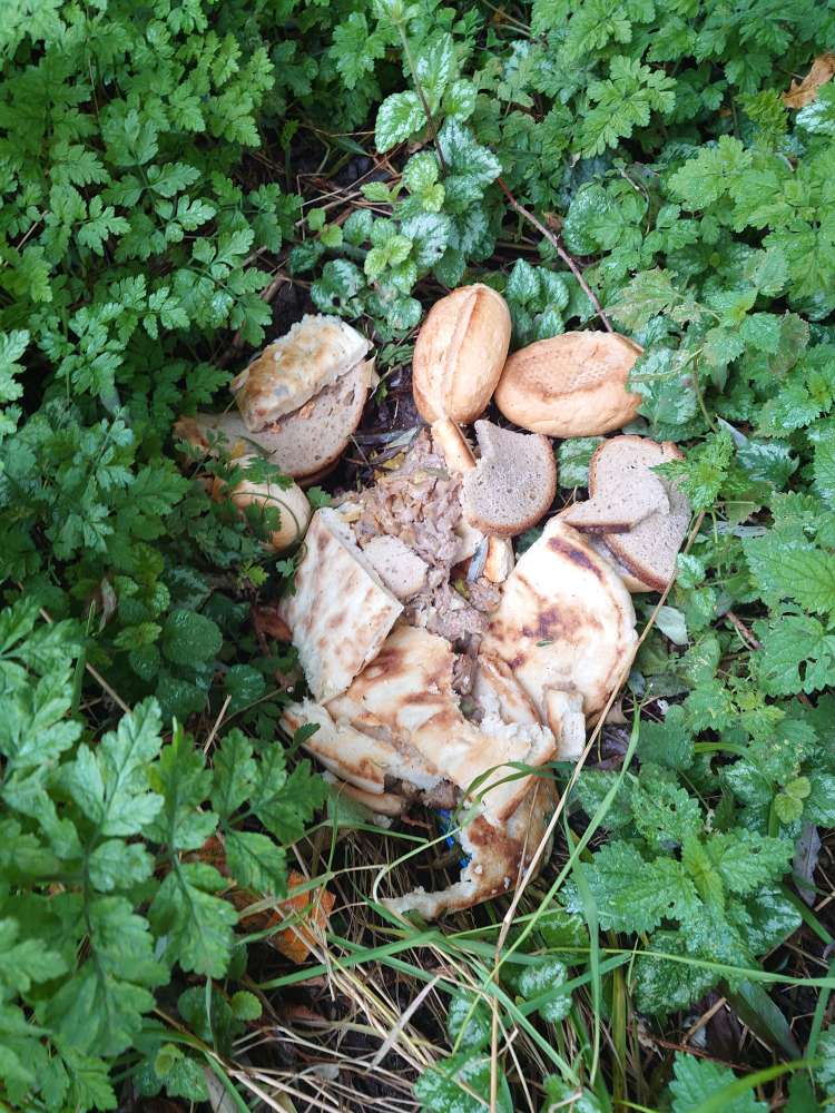 Giftköder-Essensreste in Altgarbsen im Maschweg-Profilbild