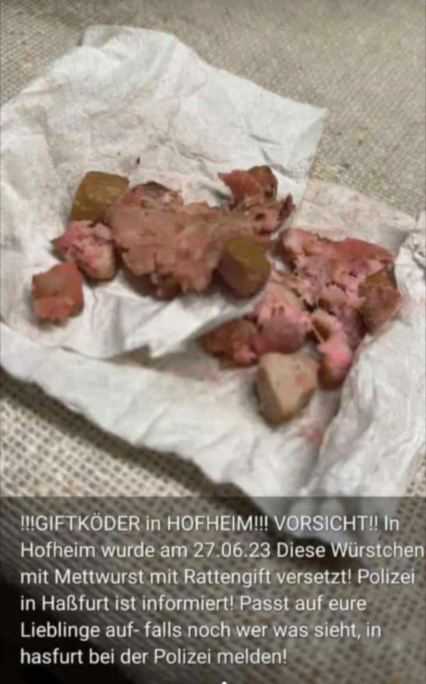 Giftköder-Giftköder-Profilbild