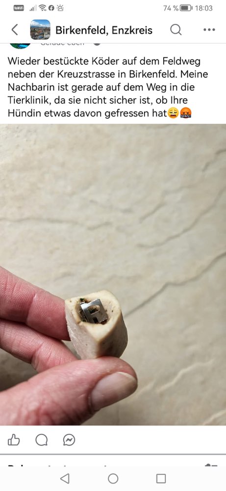 Giftköder-Giftköder auf dem Feldweg Kreuzstraße-Profilbild