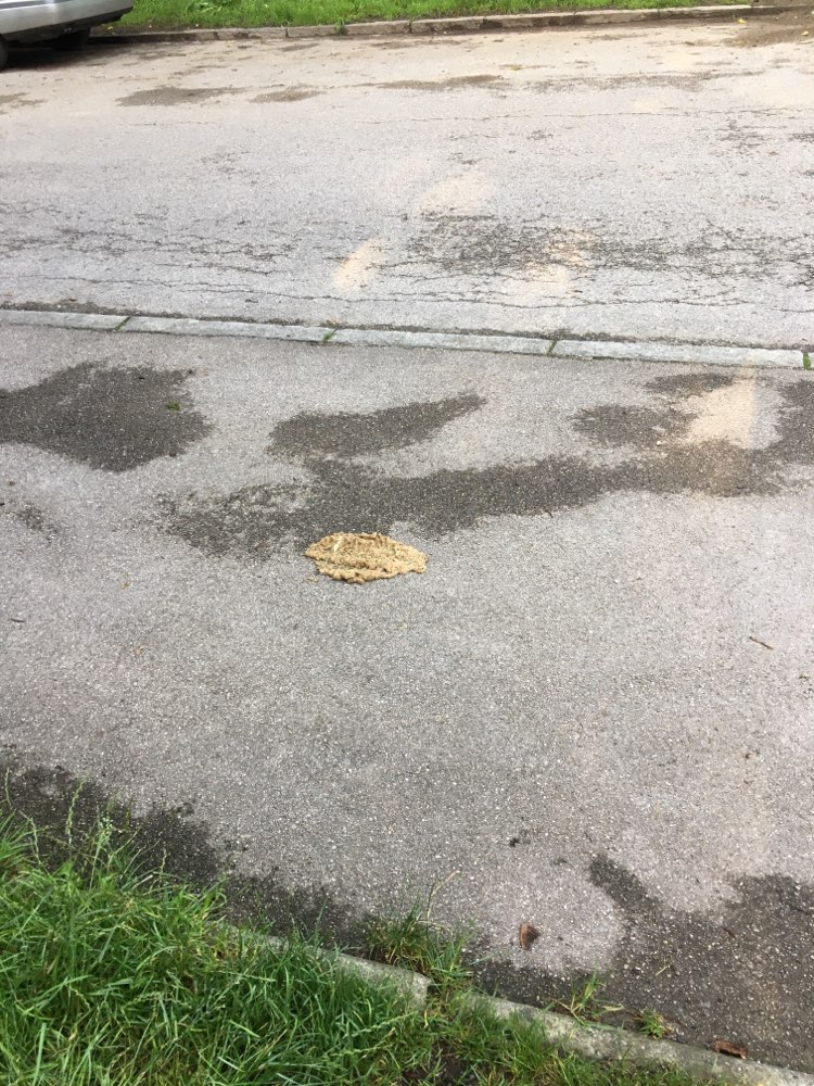 Giftköder-Trockenfutter und Nudeln-Profilbild