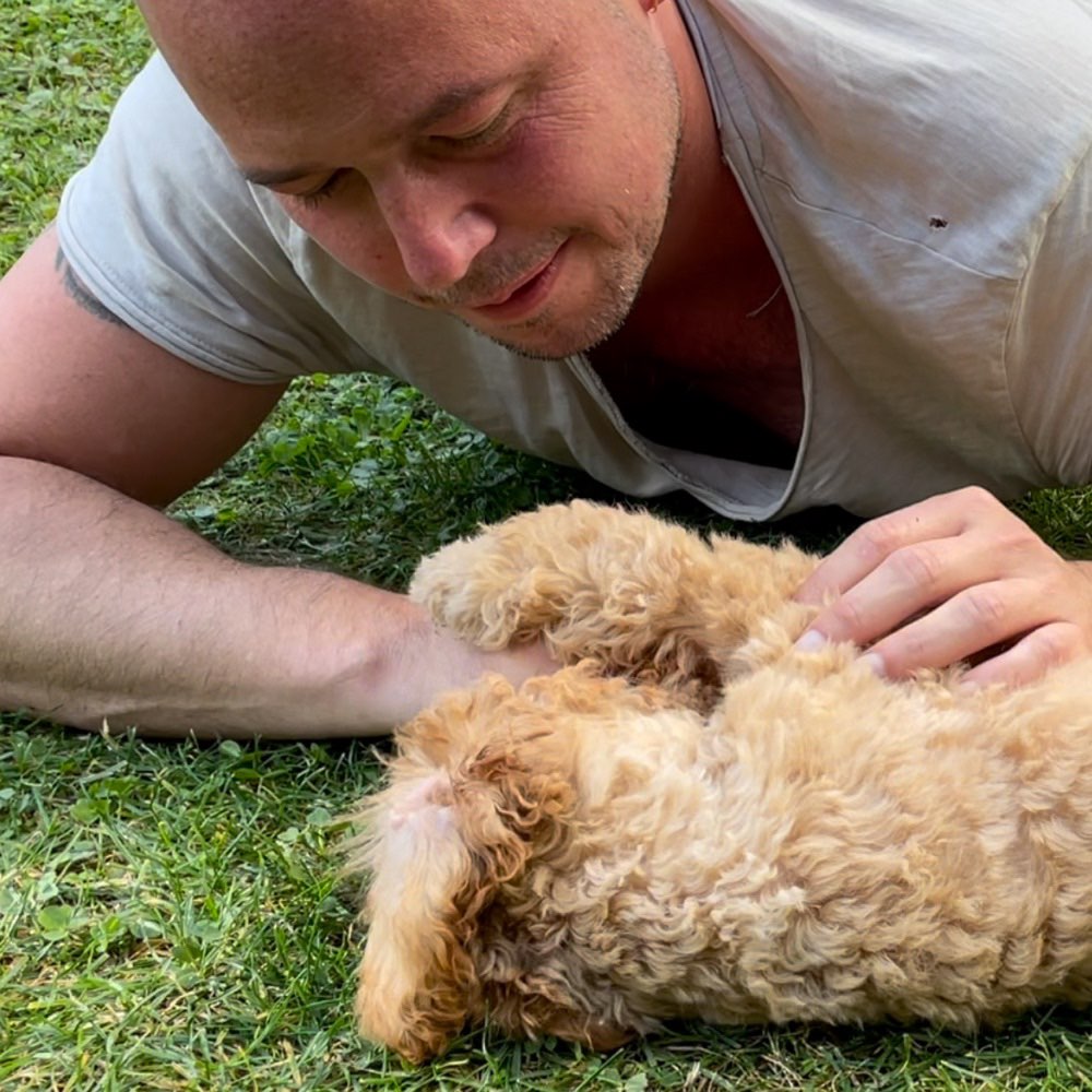 Hundetreffen-Welpen- und Spieltreffen-Profilbild