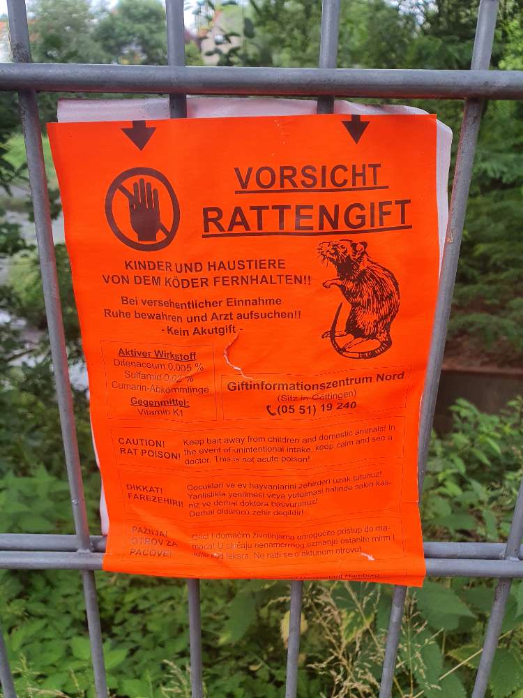 Giftköder-Rattengift-Profilbild