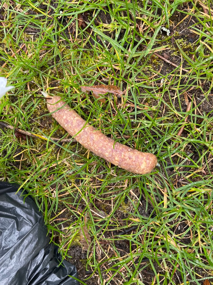 Giftköder-Möglicher Giftköder-Profilbild